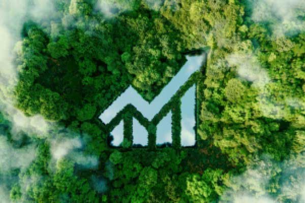 10月27日热门中概股多数上涨 贝壳涨超3% 富途涨超2% 拼多多跌超1%